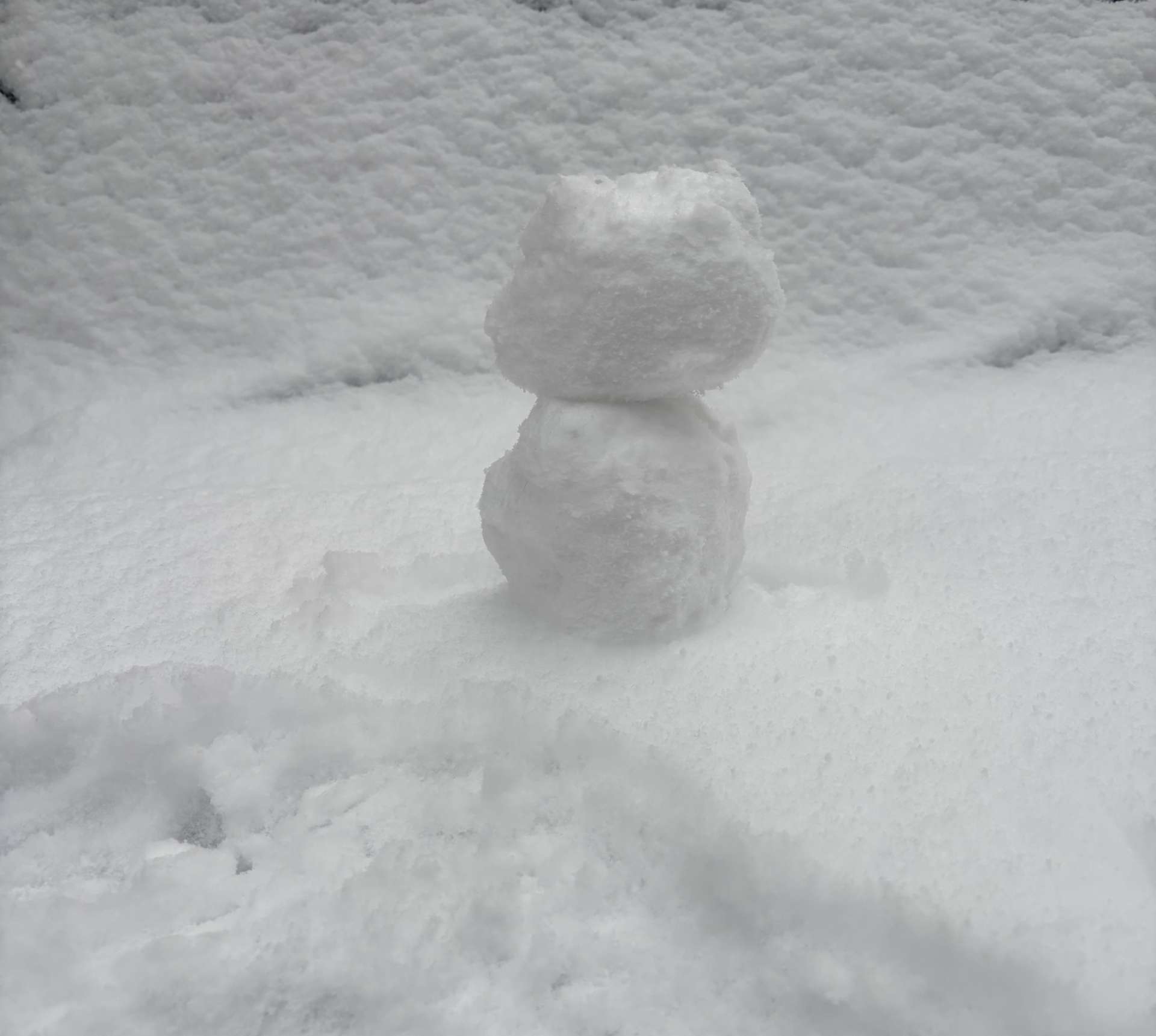 雪…ゆき…ユキ…☆