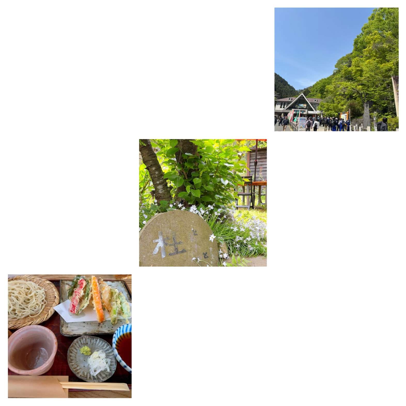 初夏の高尾山☆